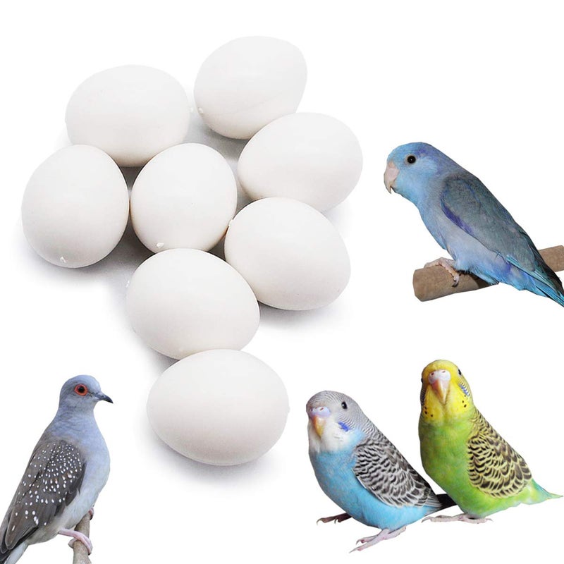 FOIBURELY 8 pcs الببغاء الصلبة البيض البلاستيكي يفقس البيض الباريت الببتودي ببناء الماس خدعة الطيور للتوقف عن وضع البيض المزيف (19 مم*16 مم) - Image 1