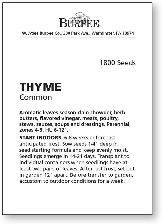 Burpee 61564A Common Thyme Seeds - Image 3