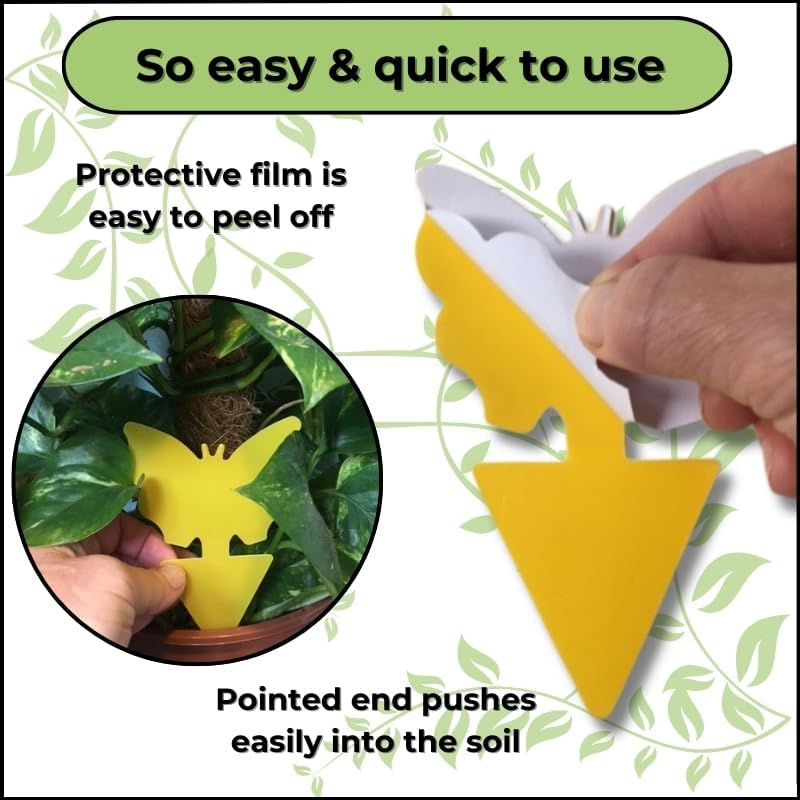 Evanmore Fruit Fly Traps Trap Indoor Sticky Yellow For Home Use Protect Plants Plant Houseplant Fungus Gnat Killer Insect Catcher Bug Catchers Control Pests Whitefly Non Toxic Odourless Safe Waterproof (20) - Image 3