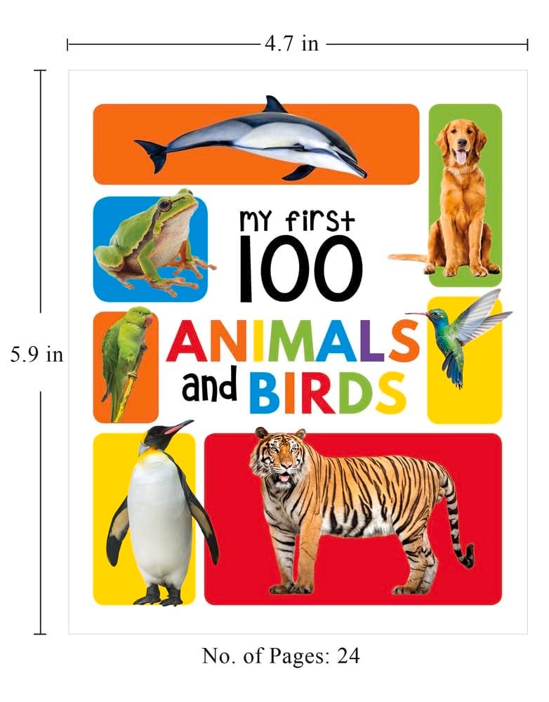 مكتبتي الأولى 100: مجموعة من 5 كتب تعليمية مبكرة للأطفال (تعليم منزلي | روضة أطفال | رضيع/طفل صغير) - Image 2