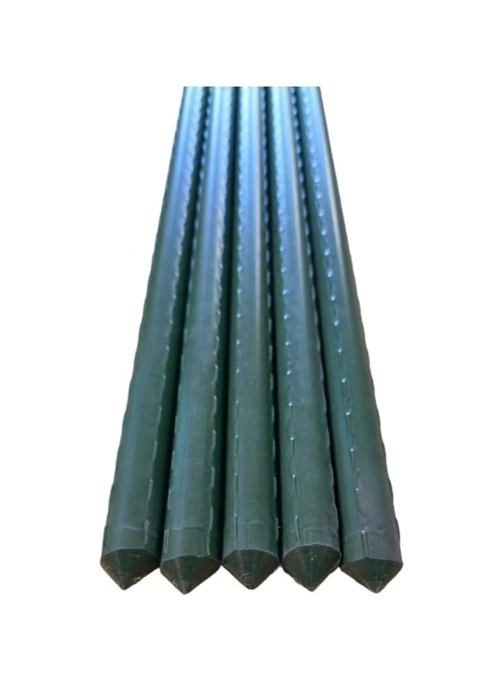 عصا نباتات معدنية مطلية بـ PVC – ارتفاع 240 سم، سمك 16 مم، عمود دعم حديقة ثقيل وطويل جدًا للنباتات المتسلقة، الخضروات والزهور الطويلة، عبوة من 5 - Image 1