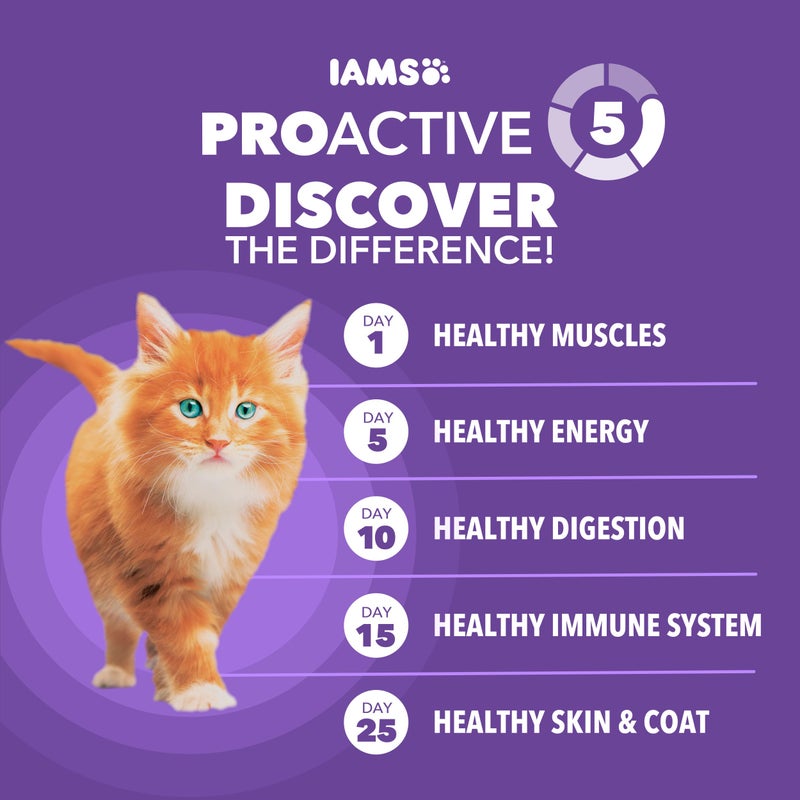 IAMS Proactive Health Healthy Kitten Dry Cat Food with Chicken, 16 lb. Bag - Image 5