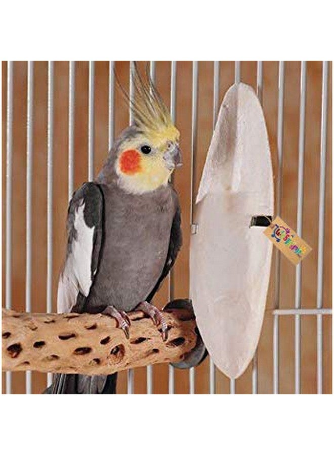 Western Era Natural Calcium Source Cuttlebone Fish For Birds, Parrot (200Grm) - Image 1