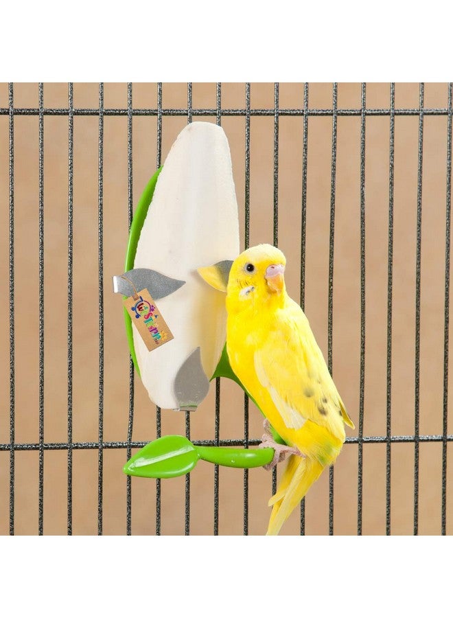 Western Era Natural Calcium Source Cuttlebone Fish For Birds, Parrot (200Grm) - Image 2