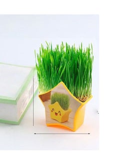 Generic Two Grass-Headed dolls  - Image 2