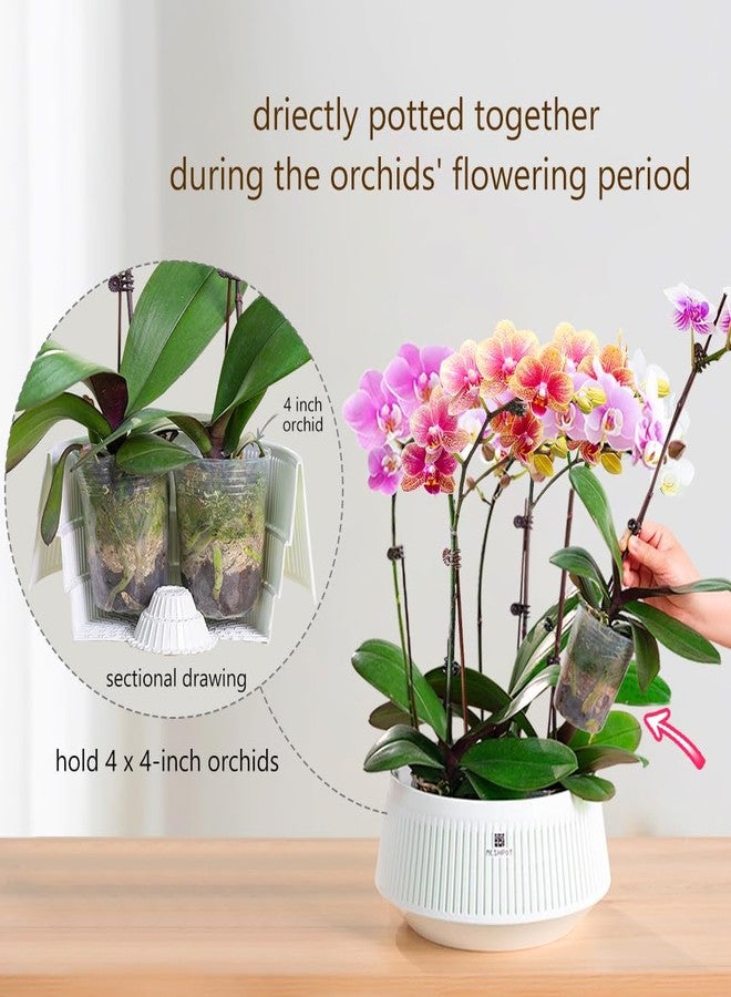 Meshpot 8 inch Orchid Pots with Holes for Repotting,Set of 1,Decorative African Violet Pots with Air-Pruning and Good Air Circulation,Plastic White Orchid Planter with Saucers - Image 4