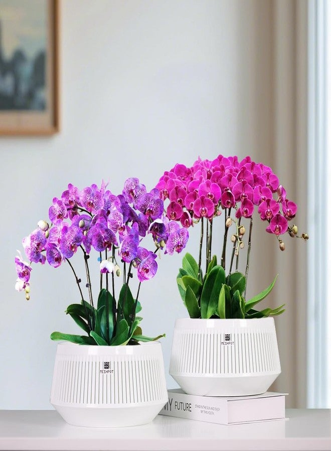 Meshpot 8 inch Orchid Pots with Holes for Repotting,Set of 1,Decorative African Violet Pots with Air-Pruning and Good Air Circulation,Plastic White Orchid Planter with Saucers - Image 2