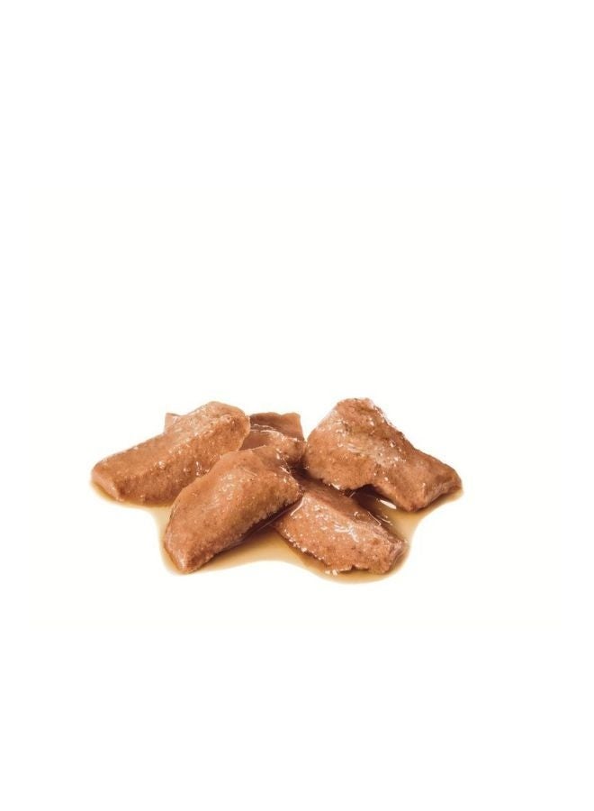 رويال كانين أكياس طعام رطب لتغذية القطط من ماين كون، 85 جرام، عبوة من 12 قطعة - Image 2