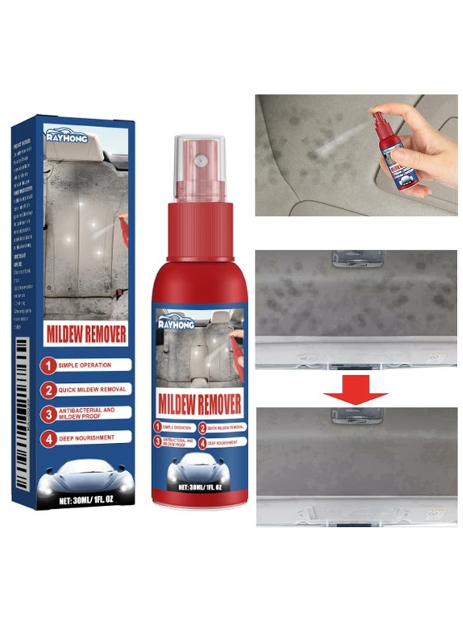 RAYHONG Car Interior Mould Cleaning Spray, Automotive Interior Mold Cleaner, Automobile Mold Remover Spray, Interior Detailer Cleaner for Cars, Mold and Mildew Remover Gel for Cars, Leather Mould Cleaning Spray, 30ML - Image 1