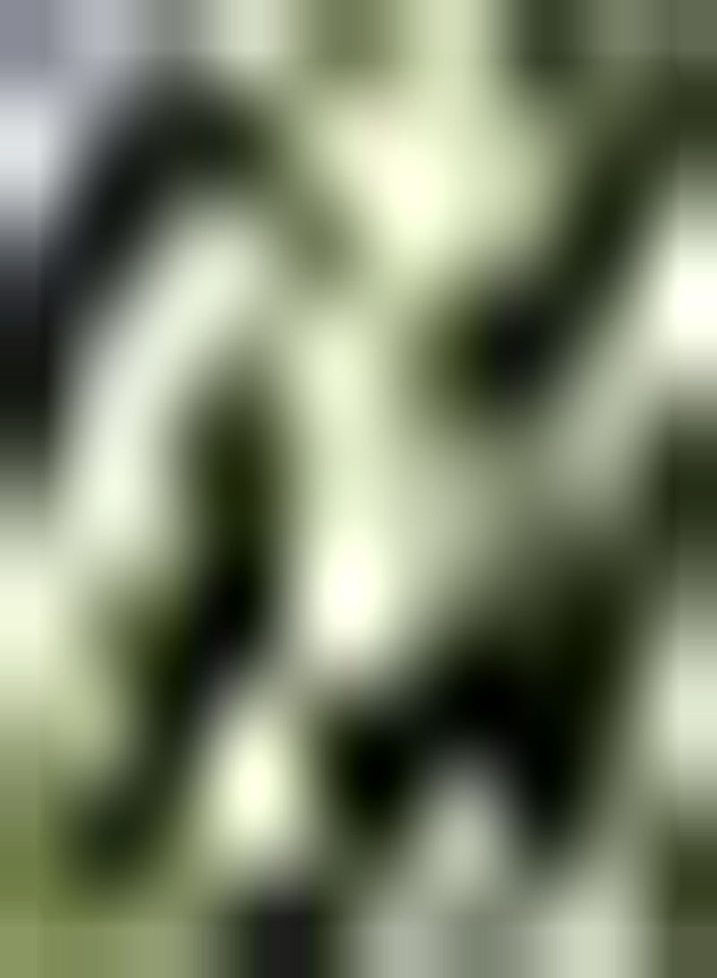 GGOOT 10Stück Avocado Samen besondere Sorten pflegeleicht dekorativ wirtschaftlicher Wert Genießen Sie den Spaß am Pflanzen bringen Sie Farbe in Ihren Garten - Image 1