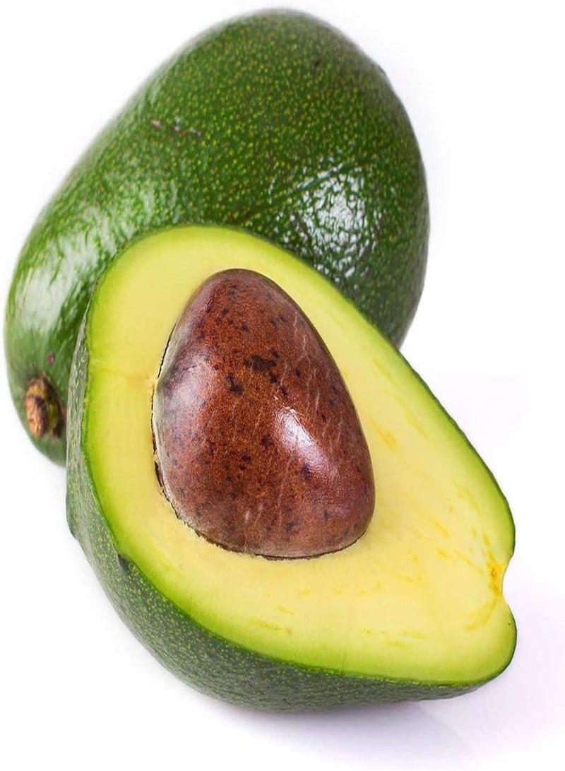 GGOOT 10Stück Avocado Samen besondere Sorten pflegeleicht dekorativ wirtschaftlicher Wert Genießen Sie den Spaß am Pflanzen bringen Sie Farbe in Ihren Garten - Image 3