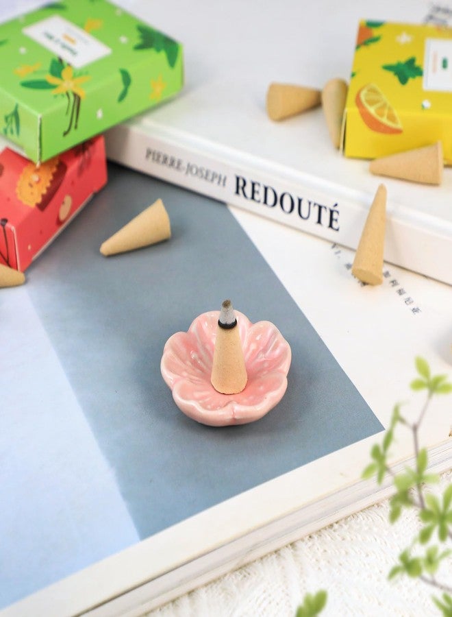 STRN Incense Cones 120 Scented Cones for All Seasons, Assorted Cone Incense Scents with Incense Holder, Vanilla Mint Coconut Cedarwood Apple Pie Forest Citrus Cinnamon - Image 3