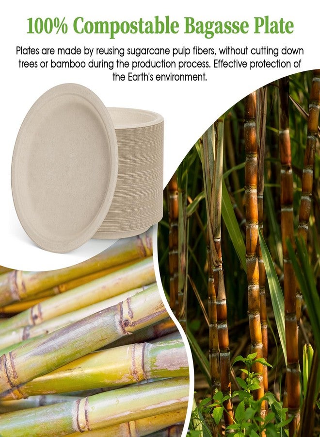 ECOLipak Paper Plates 10 Inch, 150 Pack Compostable Heavy Duty Disposable Biodegradable Sugarcane Bagasse Eco Friendly Paper Plates for Party Dinner - Image 4