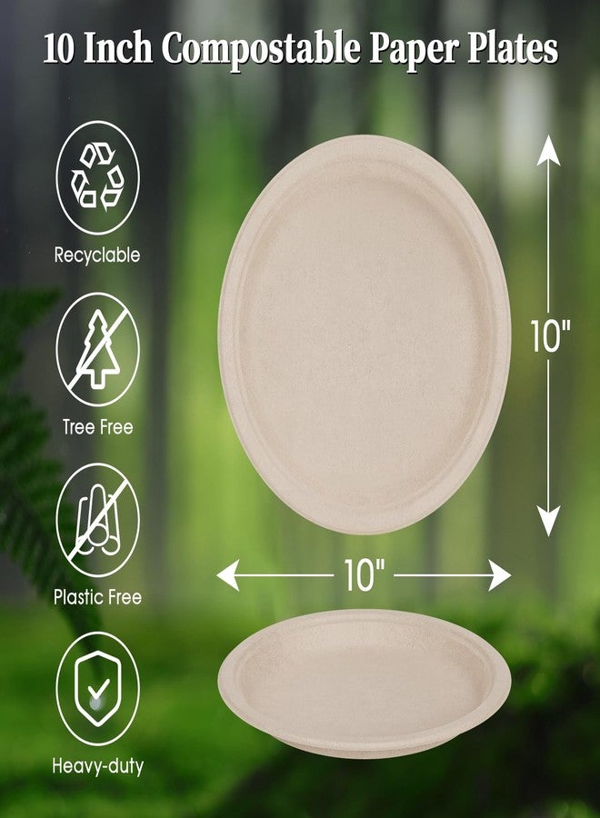 ECOLipak Paper Plates 10 Inch, 150 Pack Compostable Heavy Duty Disposable Biodegradable Sugarcane Bagasse Eco Friendly Paper Plates for Party Dinner - Image 2