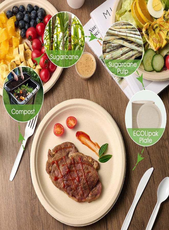 ECOLipak Paper Plates 10 Inch, 150 Pack Compostable Heavy Duty Disposable Biodegradable Sugarcane Bagasse Eco Friendly Paper Plates for Party Dinner - Image 5