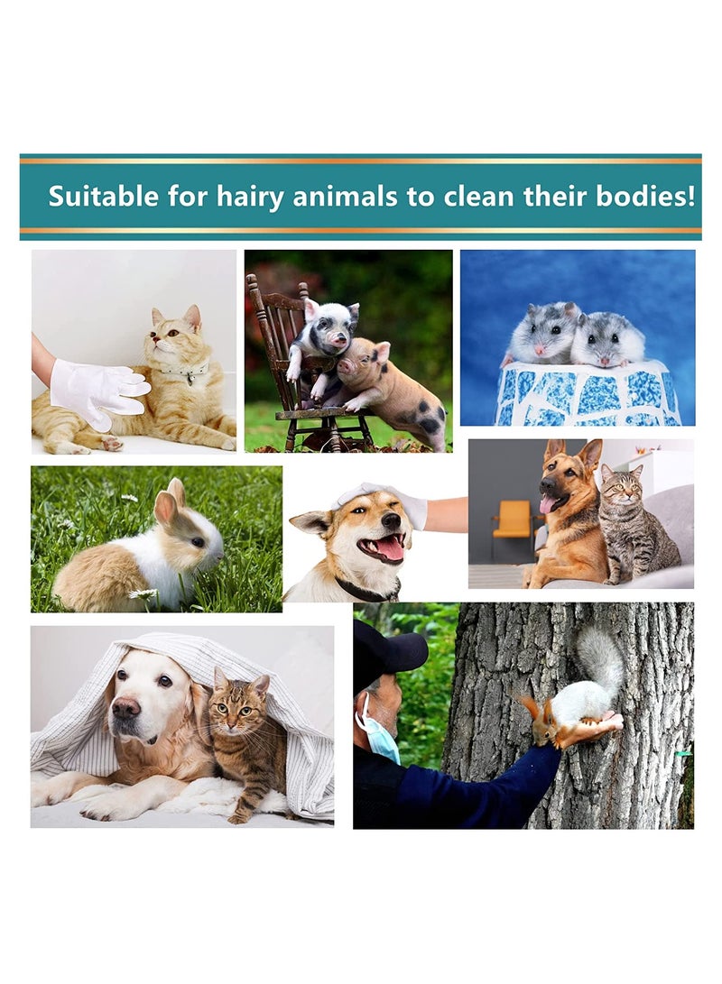 SOLARAE Pet Rinse Free Grooming Gloves, Gentle Deshedding Brush Glove for Face, Ear, Eye, Paws, Pet Body Gloves, Disposable Plant-Based Bath Wipes, Thick Extra, 10Pcs - Image 5