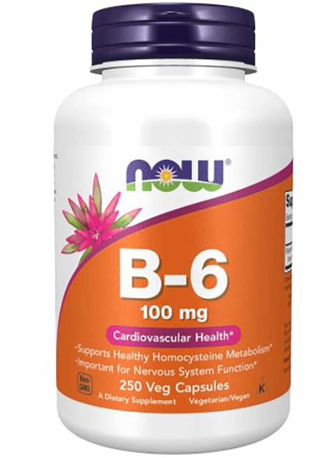 NOW Vitamin B-6 100mg,250 Capsules (Pack of 2) - Image 1
