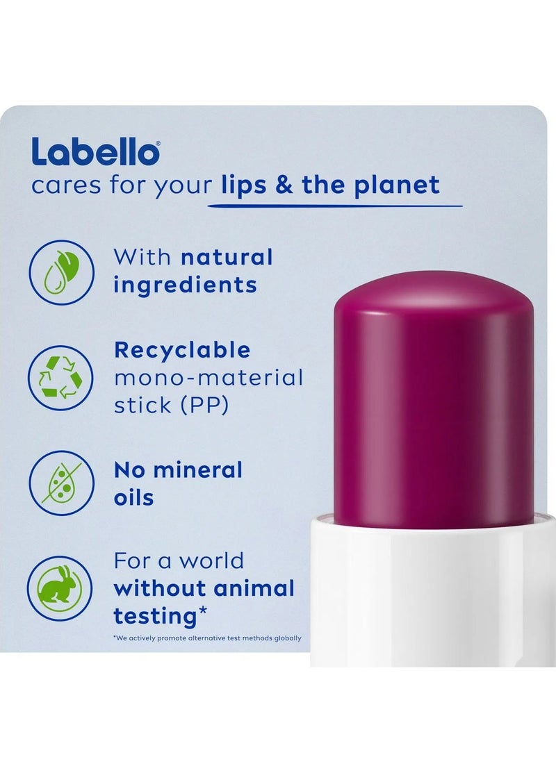 Blackberry Shine Lip Balm Moisturizing Lip Care 4.8gm