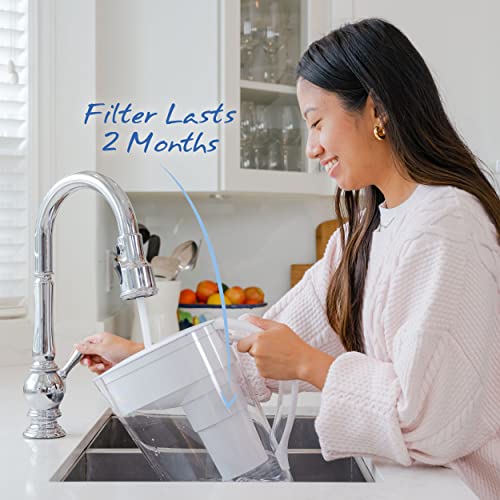 Santevia MINA Alkaline Pitcher | 9-Cup at Water Filter System That Adds Minerals and Makes Alkaline Water | Fluoride, Chlorine and Lead Water Filter | American Filtration Media - Image 5