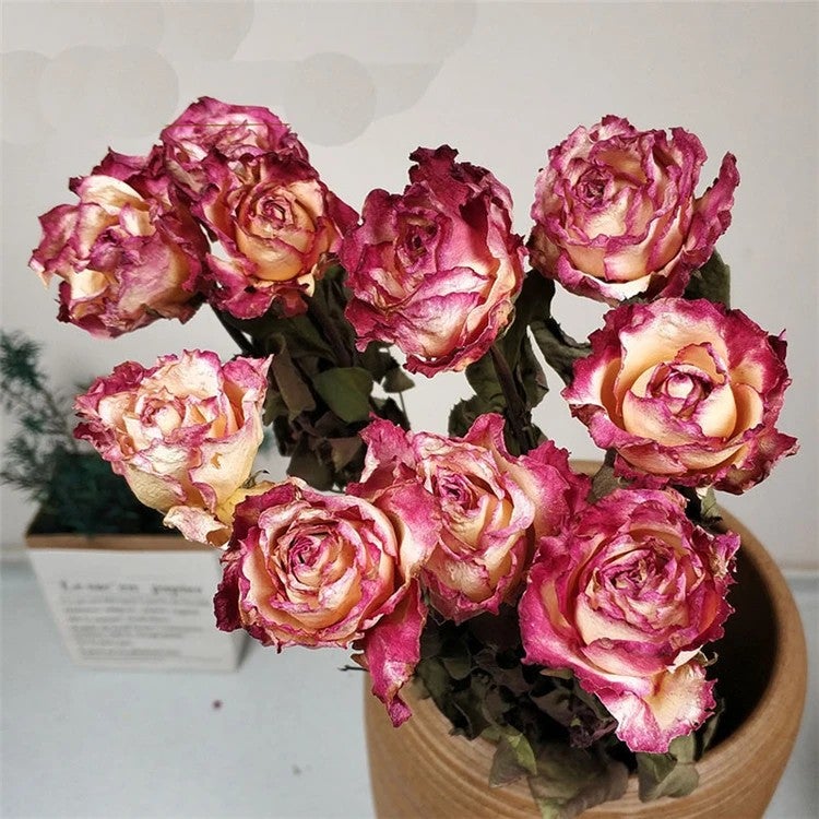 Bluejw M008 Natural Dried Roses Bouquet - Forever Lasting Decor, Real Dry Flowers & Plants Arrangement - Image 1
