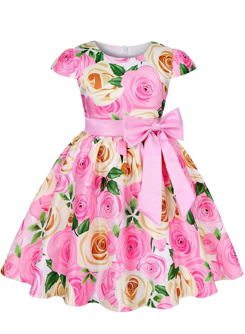 Loquat Girl princess dress Pink - Image 1