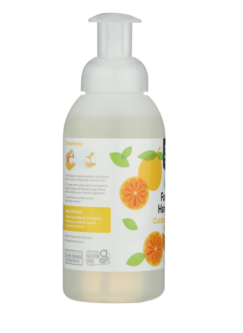 365 by Whole Foods Market, Outstanding Orange Kids Foaming Hand Soap, 12 Fl Oz - pzsku/Z735D96B92066D1A45FA5Z/45/_/1740636868/5ff06871-ce01-41ee-949b-a4e8d89a3fdc