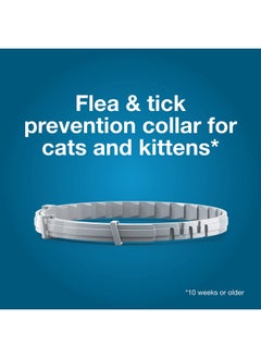 Flea Tick Collar For Cats - pzsku/Z735E4D5ACDE1B6501EA7Z/45/_/1726221009/2b9bacfc-39f6-4292-8655-7c8ac7da7ef7