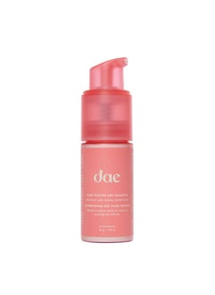 DAE DAE Hair Fairy Duster Dry Shampoo Powder  Volumizing NonAerosal Natural Ingredients 