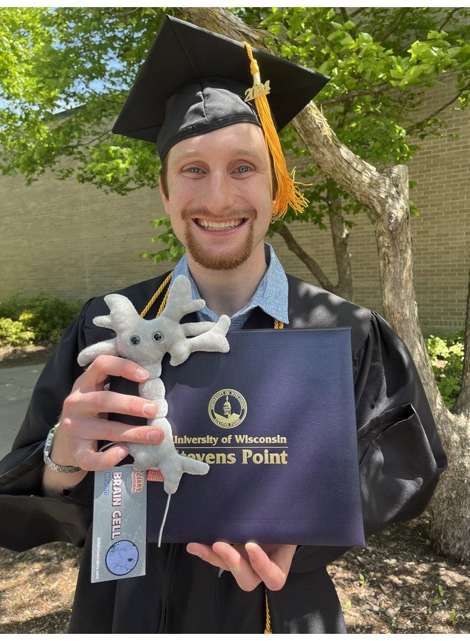 Giant Microbes GIANTmicrobes Brain Cell Plush, Neuron Plush, Neuroscience Gift, Neurology Gifts, Science Plushies, Neuron Model Anatomy, Psychology Gifts, Psychology Decor, Brain Gift, TBI, Mental Health Awareness - Image 5