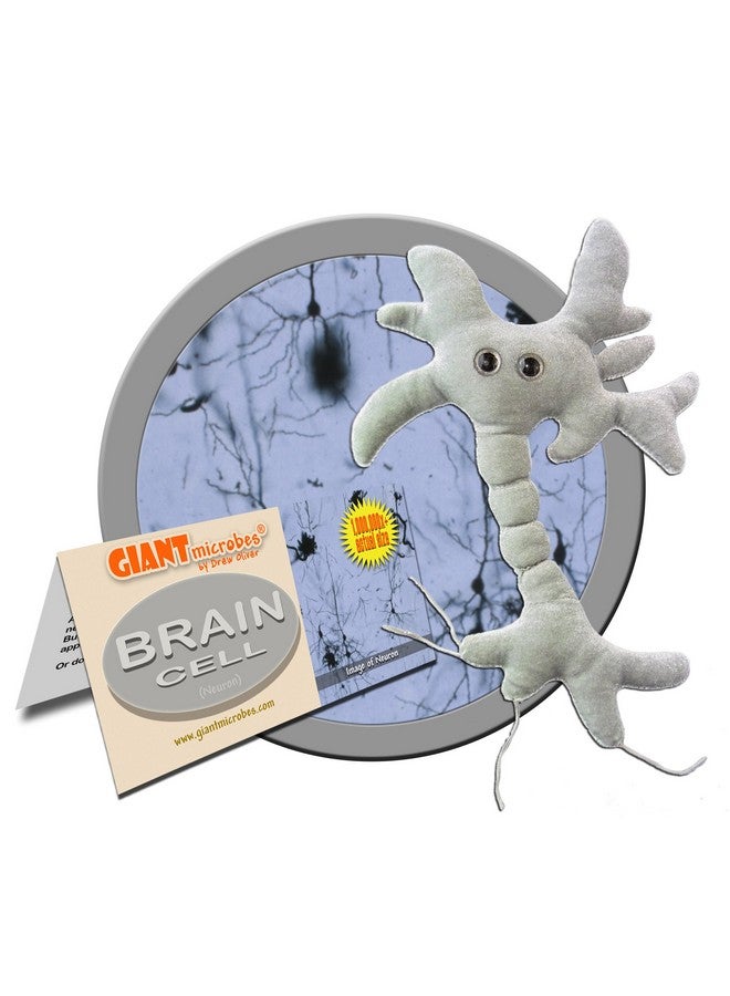 Giant Microbes GIANTmicrobes Brain Cell Plush, Neuron Plush, Neuroscience Gift, Neurology Gifts, Science Plushies, Neuron Model Anatomy, Psychology Gifts, Psychology Decor, Brain Gift, TBI, Mental Health Awareness - Image 2