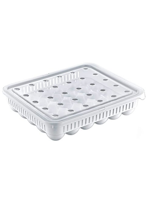 Plastic egg case big 30