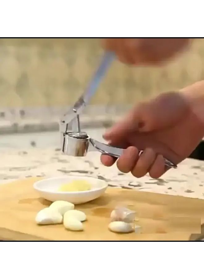 Stainless Steel Garlic Mashed Press Heavy Duty Easy Clean Kitchen Tool - Image 2