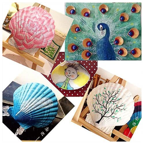 QICQDRAM 30PCS Sea Shells for Crafts Decoration 2''-3'' White Scallop Shells for Crafts DIY Painting Beaching Wedding Decoration, Beach Natural White Seashells Bulk - Image 4