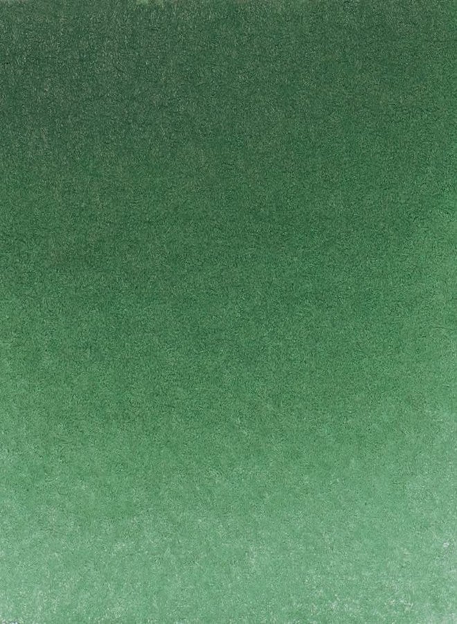 Schmincke Horadam Aquarell 15 ml (HOOKERS GREEN) - Image 2