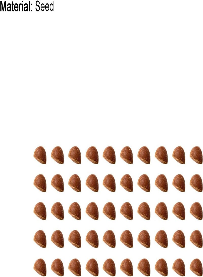 GGOOT Plant Seed 50Pcs/Bag Celosia Plumosa Seeds Natural High Yield Well-adapted Flowering Mixed Color Bonsai Seedlings for Parterre - Seed - Image 5