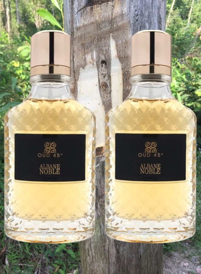 ألباين نوبل 2 قطع عطر عود 45 100 مل - Image 1