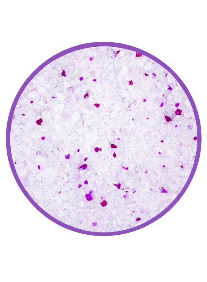 بادو رمل قطط كريستالي من بادو، ٢ كجم، مع وسادة داخلية - لافندر - Image 3