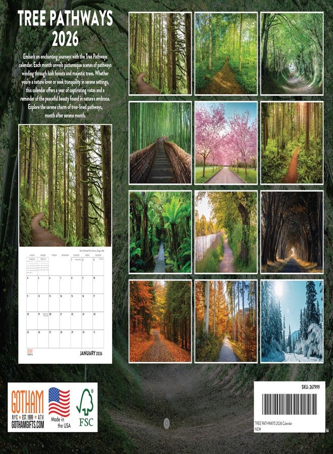 Poster Foundry Tree Pathways Nature Calendar 2026 12 Month Forest Gifts For Nature Lovers Trees Monthly Wall Calender | American Made In The USA - Image 2