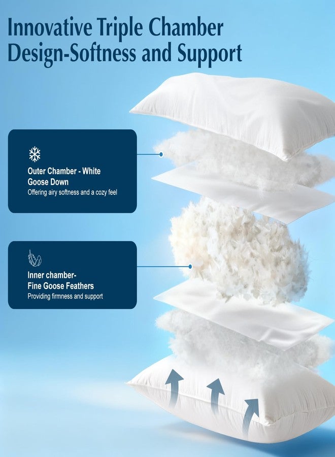 LIANLAM Goose Feather Down Pillow, 100% Cotton Shell,Hotel Pillow for Neck Pain Relief, Perfect for Side, Back Sleepers - 20"x38" - Image 2