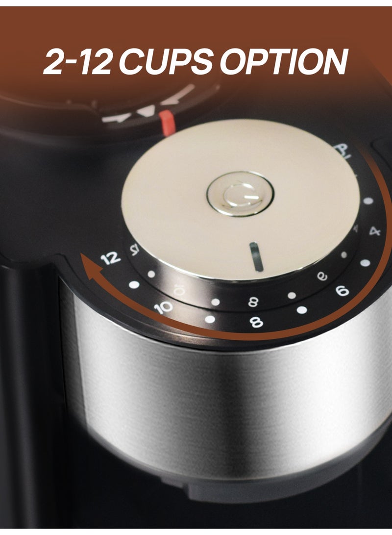 بريتيل مطحنة قهوة كهربائية V60 أوتوماتيكية قابلة للتعديل مع 25 إعدادًا للطحن مناسبة للتقطير والضغط الفرنسي والقهوة الباردة - Image 5