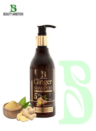 Anti-Hair Fall and Anti Thinning Ginger Shampoo, Hair Regrowth and Thickening Treatment for Men and Women, 250ml - pzsku/Z736652316DDB6D65CEE3Z/45/_/1692565048/c69b5bac-b6e8-48b5-8735-6fb86762a78d