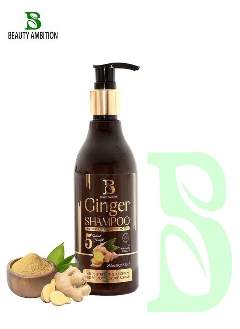 Anti-Hair Fall and Anti Thinning Ginger Shampoo, Hair Regrowth and Thickening Treatment for Men and Women, 250ml