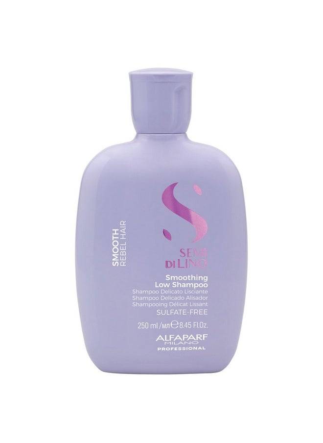 ALFAPARF MILANO Alfaparf Milano Semi Di Lino Smoothing Sulfate Free Shampoo - Anti Frizz Hair Care & Cleansing Shampoo to Revitalize Dry Hair & Restore Shine (8.45 oz)  - Image 1