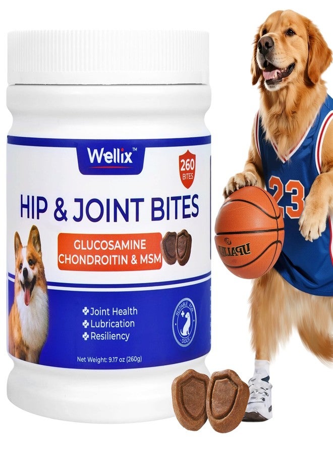 Wellix 260 Bites Wellix Dog Hip and Joint Supplement Arthritis Pain Relief with Glucosamine Chondroitin MSM Functional Ingredients Joint Care Chews for Senior Dogs Antioxidant Supplements - Image 1