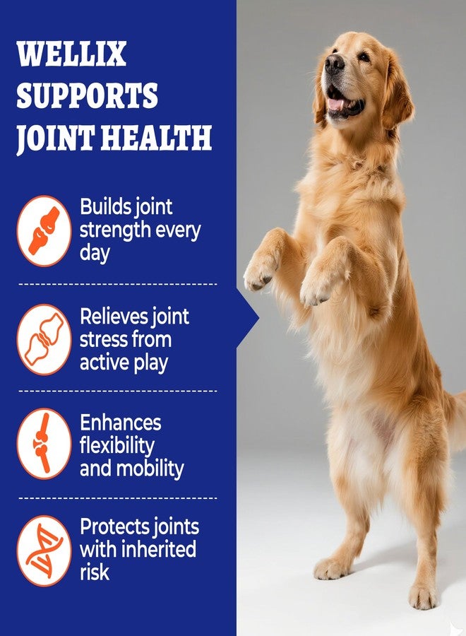 Wellix 260 Bites Wellix Dog Hip and Joint Supplement Arthritis Pain Relief with Glucosamine Chondroitin MSM Functional Ingredients Joint Care Chews for Senior Dogs Antioxidant Supplements - Image 2