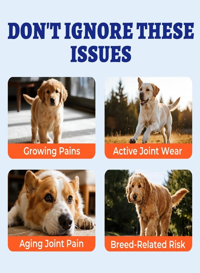 Wellix 260 Bites Wellix Dog Hip and Joint Supplement Arthritis Pain Relief with Glucosamine Chondroitin MSM Functional Ingredients Joint Care Chews for Senior Dogs Antioxidant Supplements - Image 3