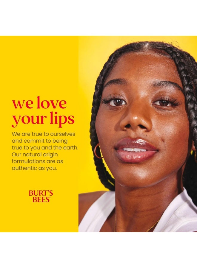 Burt's Bees Lip Balm - Pomegranate, Lip Moisturizer With Responsibly Sourced Beeswax, Tint-Free, Natural Origin Conditioning Treatment, 2 Tubes, 0.15 oz. - Image 3