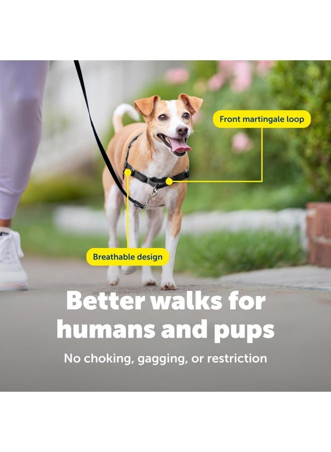 PetSafe Easy Walk No-Pull Dog Harness - The Ultimate Harness to Help Stop Pulling - Take Control & Teach Better Leash Manners - Helps Prevent Pets Pulling on Walks - Small, Red/Black - Image 4