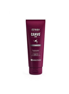 Pro Canvo Line Shampoo, Conditioner & Serum For Straightened Hair - pzsku/Z7369938179585A1E6B5EZ/45/_/1733729979/635d36e0-87b0-4d86-ab7d-ad27b7147f5a