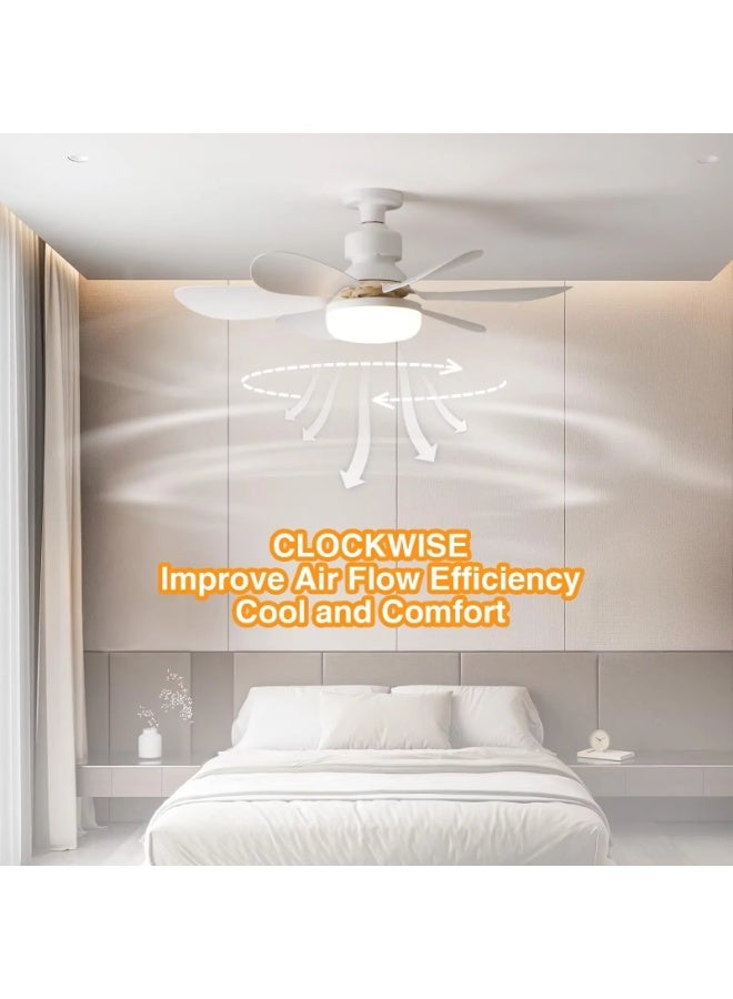 مودي مصباح مروحة بمقبس مع جهاز تحكم، شفرات قابلة للطي، تركيب سهل E26/E27، جسم 8 بوصات يتمدد إلى 16 بوصة، 3 سرعات ودرجة لون قابلة للتعديل 3000K–6500K، نسيم هادئ لغرفة الأطفال وغرفة النوم والمطبخ والحمّام والمساحات الصغيرة - Image 1
